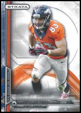 14TS 34 Wes Welker.jpg